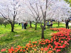-苏州上方山国家森林公园