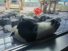 -秦皇岛野生动物园