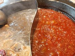 -蜀大侠火锅(总府路店)