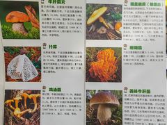 -太婆天府山珍酒楼(亚运村店)