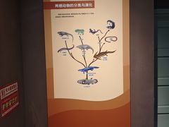 -天津自然博物馆