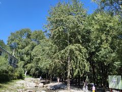 -玉渡山自然风景区