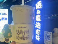 -猫的魔法密林(衣裳街店)