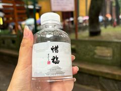 -灵隐飞来峰景区