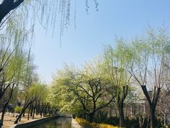 -昱德来·天津菜(河西店)