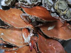 -海之蓝农家海鲜饭店