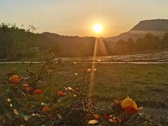 -名花谷生态庄园