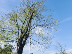 -白鹭湾湿地公园