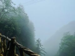 -洛阳白云山景区