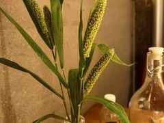 -一坐一忘云南菜(北京skp店)