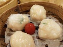 金牌虾饺皇-点都德(大茶楼店)