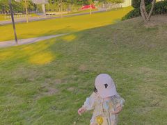 -光明小镇欢乐田园