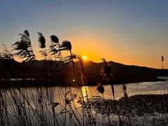 -东钱湖旅游度假区