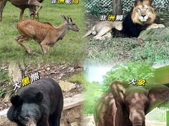 -乐和乐都主题乐园