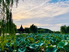 -石湖景区