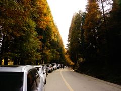 -山王坪喀斯特国家生态公园