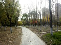 -前关湿地公园