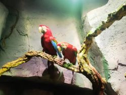 -Zoolung Zoolung动物主题公园(海信广场店)