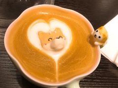 -逗柴咖啡屋·狗咖猫咖宠物桌游