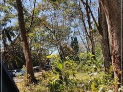 -海南热带野生动植物园