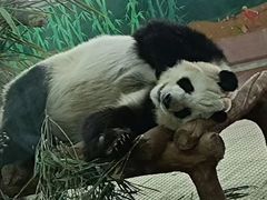 -南昌动物园
