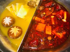 台式麻辣花胶鸡鸳鸯锅-湊湊火锅·茶憩(世博大道店)