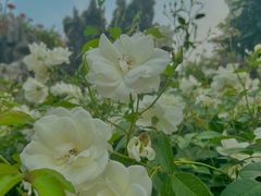 -人民公园(罗湖区)