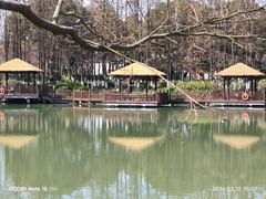 -圩墩遗址公园