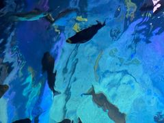 -沈阳海洋探索中心