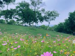 -钟山体育运动公园