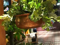 -云海肴·汽锅鸡·云南菜(天山百盛优客店)