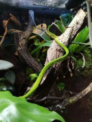 -酷嗒动物文化乐园(cutezoo西溪乐天城店)