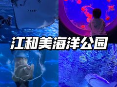-江和美海洋公园