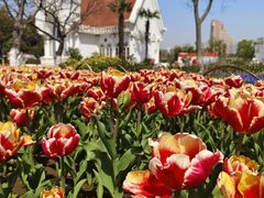 -玄武湖景区-情侣园游乐场