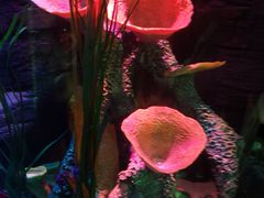 -沈阳海洋探索中心