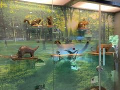 -下渚湖国家湿地公园科普馆