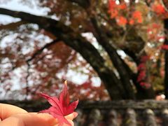 -醍醐寺
