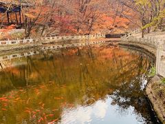 -丹东凤凰山景区