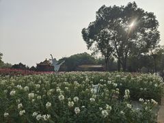 -雀儿山公园