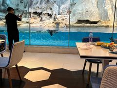 -帝企鹅自助餐厅•儿童岛•真企鹅(长隆企鹅酒店)