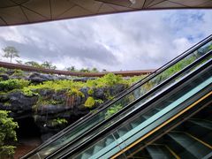 -新加坡飞禽公园
