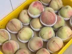 -老袁家蜜桃农场·阳山水蜜桃