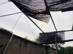 景观位-鼎香润(德胜门内店)