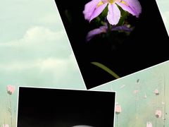 -成都院坝精品私汤民宿酒店