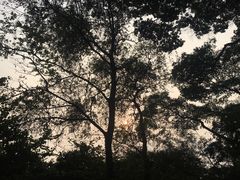 -广州市白云山风景名胜区