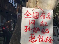 -孙奶奶葱包桧
