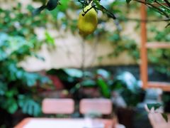 -懒鱼时光馆(沙坪坝店)