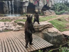 -海南热带野生动植物园
