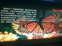 -上海昆虫博物馆