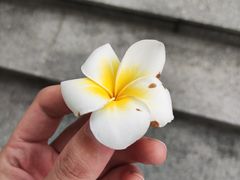 -烈士陵园(地铁站)